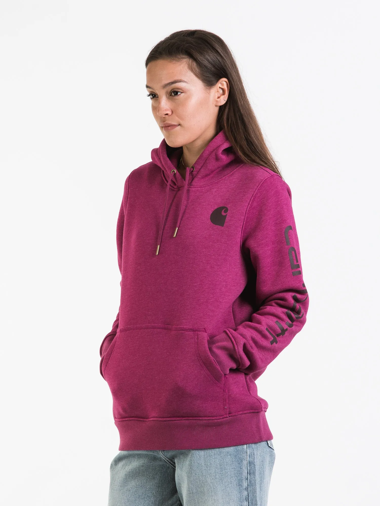 CARHARTT LOGO SLEEVE PULL OVER HOODIE