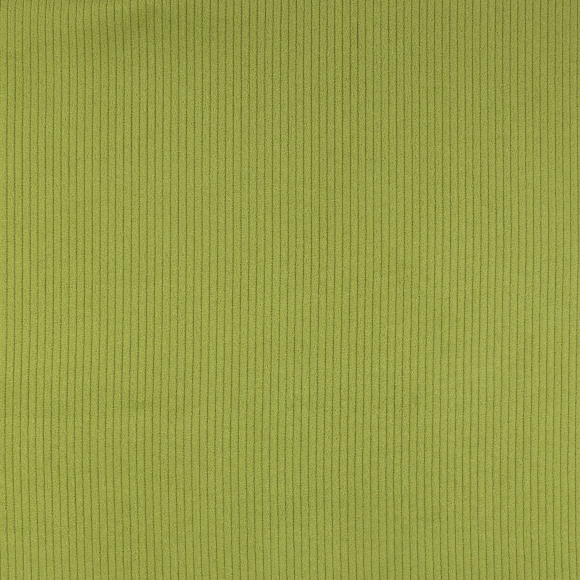 Corduroy - NOMAD - 004 - Grass