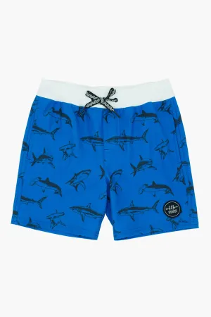 Feather 4 Arrow Sea Kings Volley Boys Swim Short