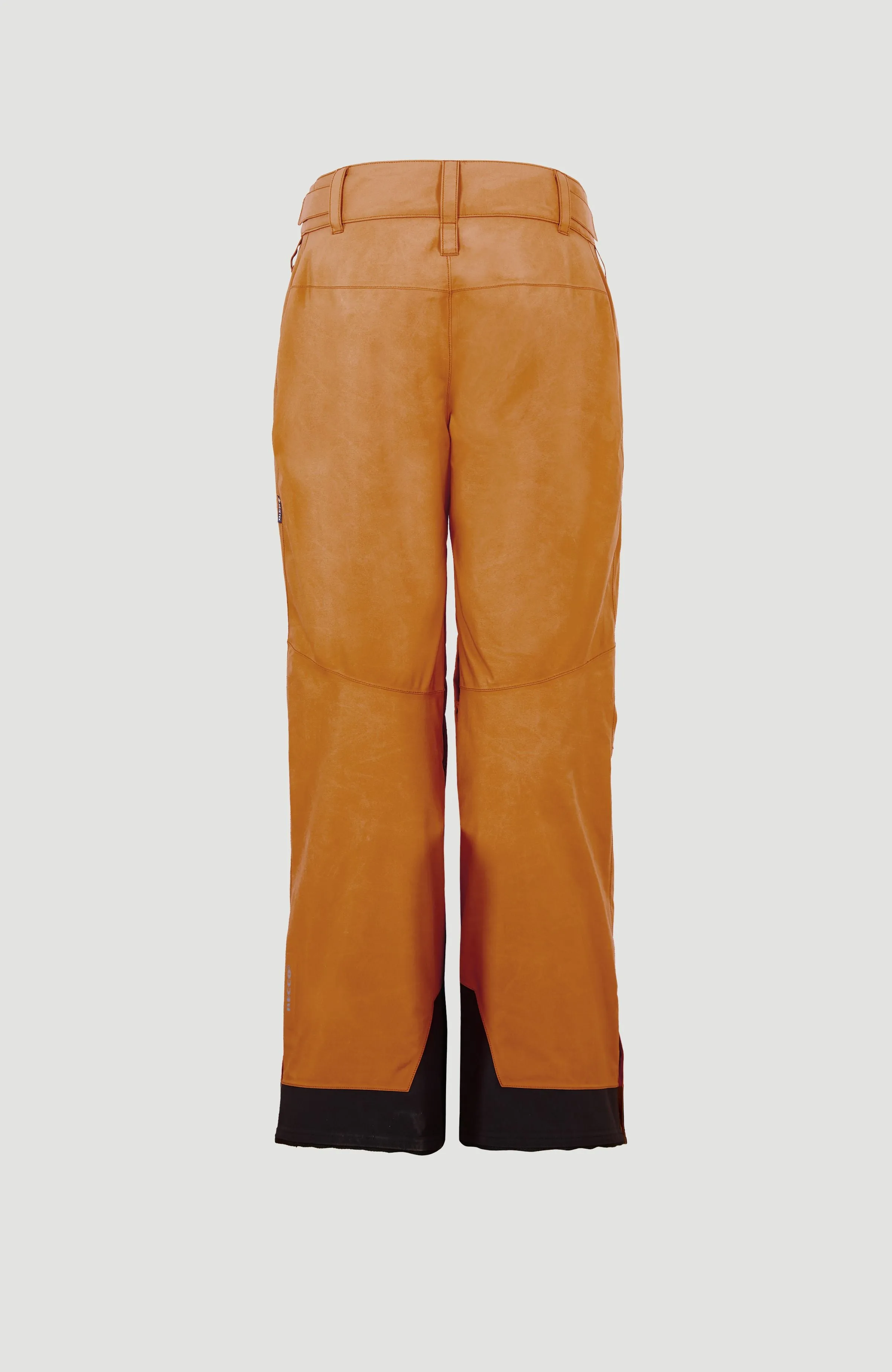 GORE-TEX Psycho Tech Snow Pants | Rich Caramel