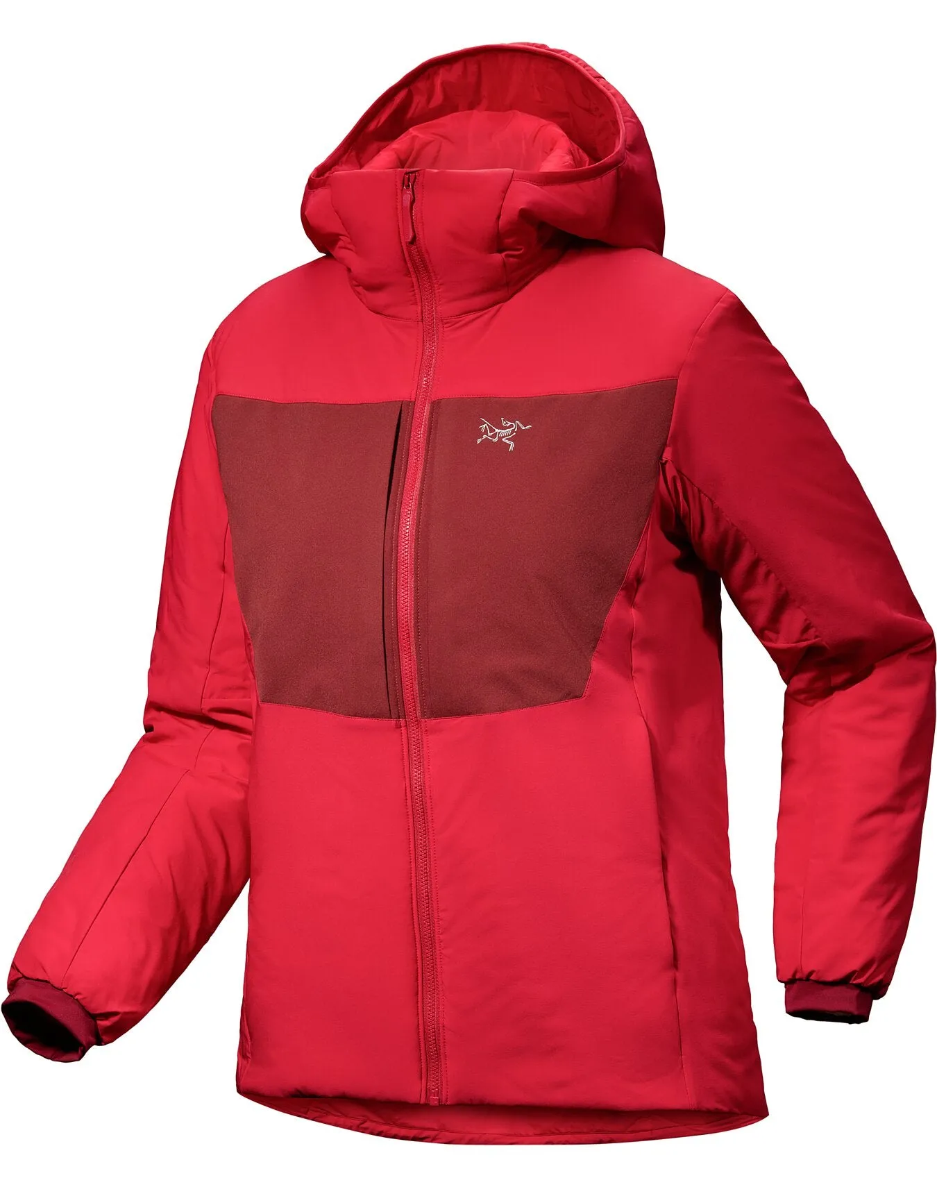 Women's Proton Heavyweight Hoody